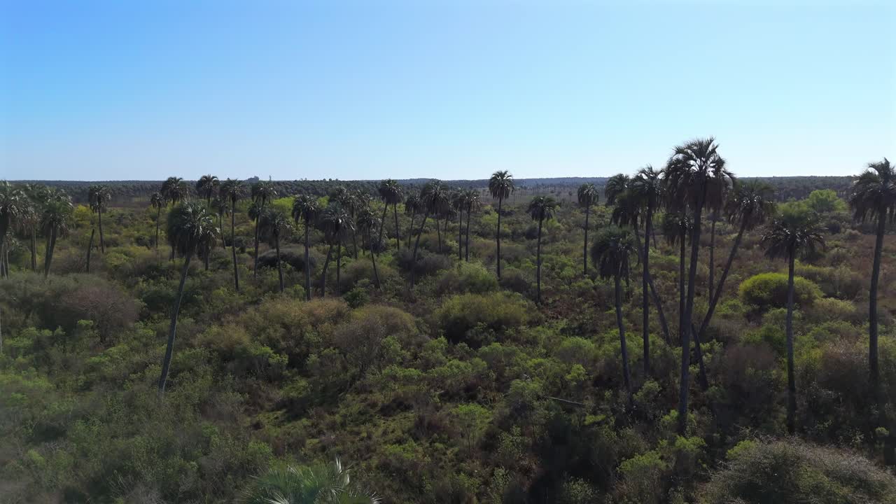 El Palmar national park in Entre ríos, Argentina.