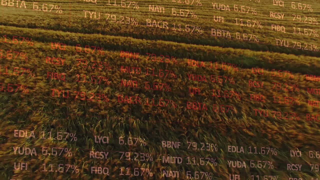 Animation of financial data processing over agriculture field