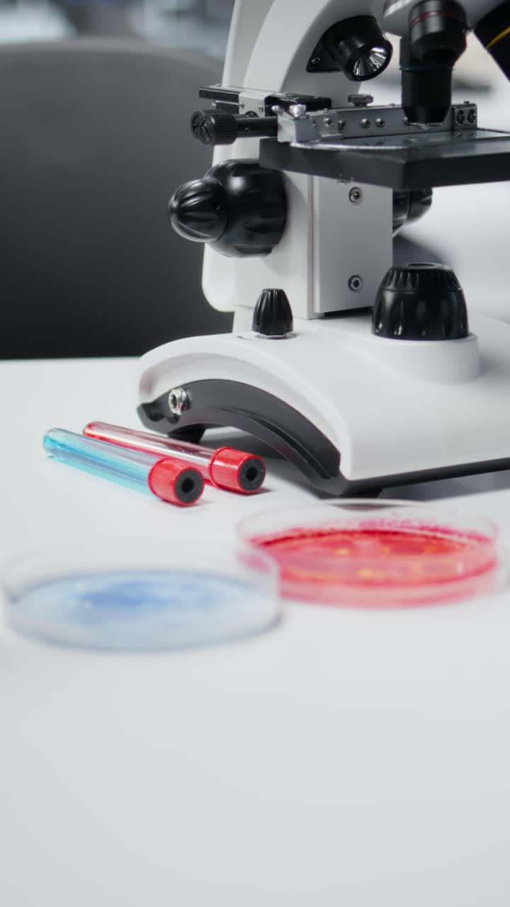 Vertical video Close up of petri dishes in laboratory containing antibiotic discs