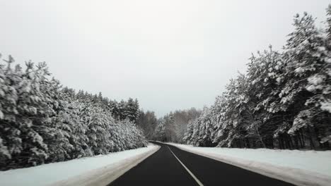 POV-of-car-driving-on-snowy-frosty-asphalt-road-surrounded-by-snow-covered-pine-trees-in-winter