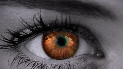 Nahaufnahme-Eines-Weiblichen-Braunen-Auges-Vor-Grauem-Hintergrund