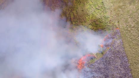 controlled-fires,-in-grazing-lands
