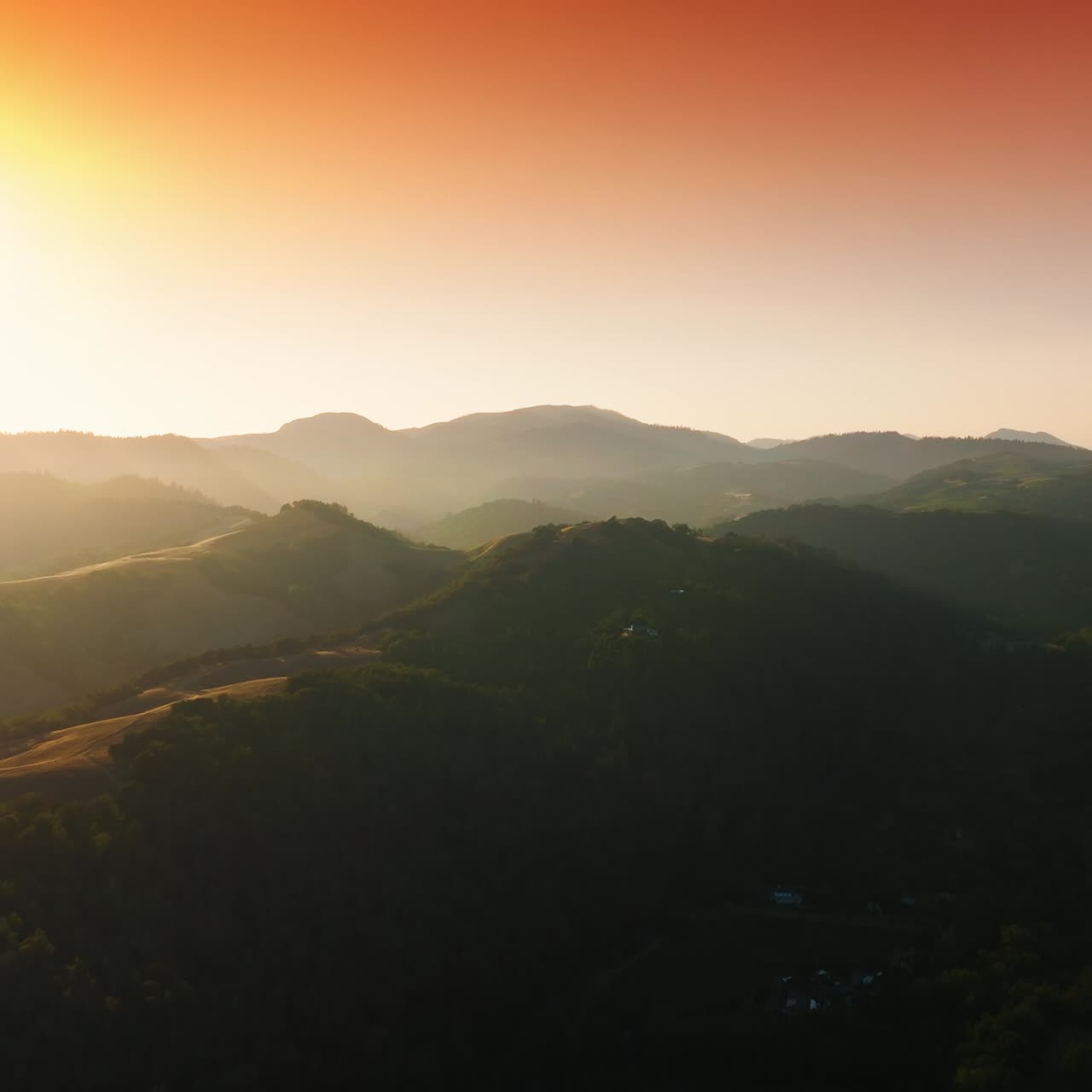 Green vineyards overgrowing the beautiful hills of California, USA. Mountainous panorama in the rays of sunset. Pink skies at backdrop