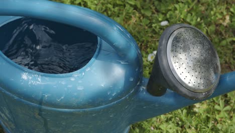 A person sets down a watering can full of water, gardening