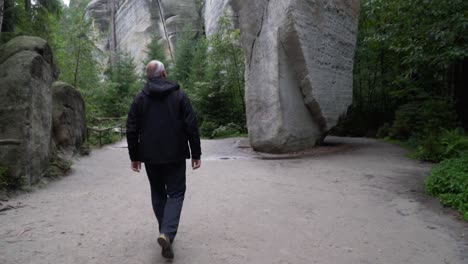 man looking at sandstone - sugarloaf or homole cukru in adrspach and teplice rocks