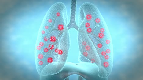 virus infection in respiratory system