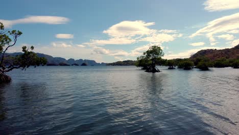 Drone-glides-at-low-altitude-through-the-mangroves-at-Cabo-Beach-in-Coron,-Philippines,-showcasing-natural-beauty