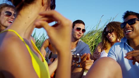 multi ethnic males and females enjoying beach party