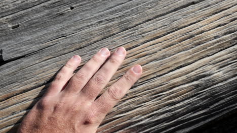 closeup of male hand sliding with the grain of a wooden log