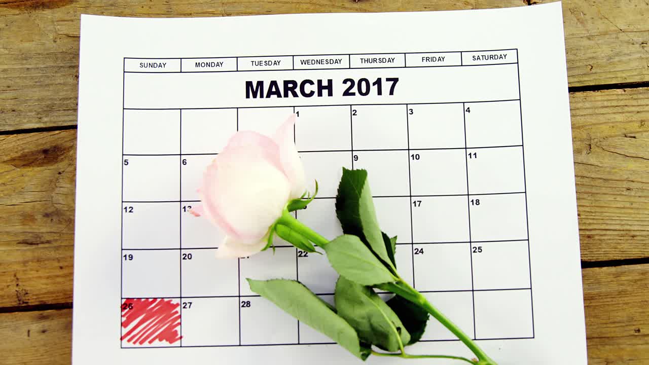 Pink rose on calendar