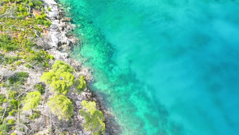 bird view aerial moving over colorful crystal clear water and coast line at amarandos beach, located on the south side of skopelos