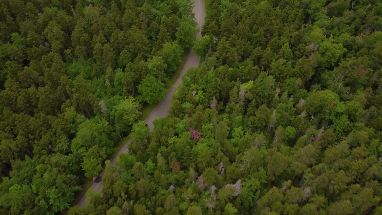Car driving road along luxuriant forest of Mount Washington, New Hampshire.