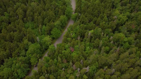 car driving road along luxuriant forest of mount washington, new hampshire.