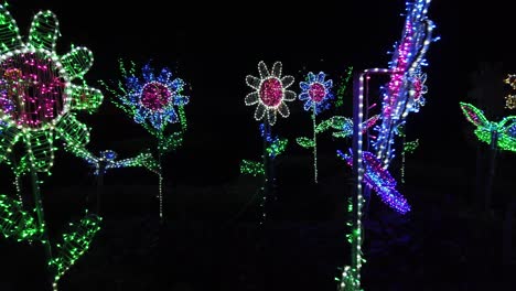 Festival-De-Iluminación-Led-En-El-Parque,-Campo-De-Girasol