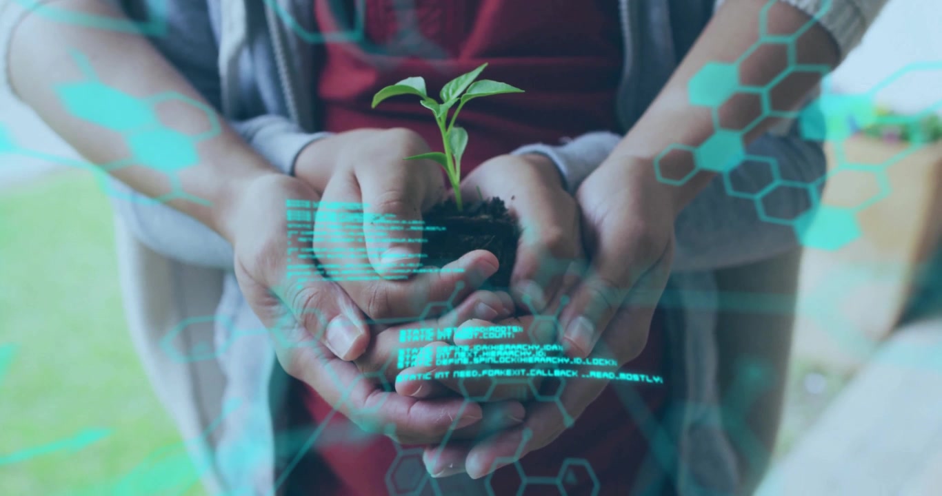 Overlay pulsing code fading and revealing family hands holding seedling on porch for greentech