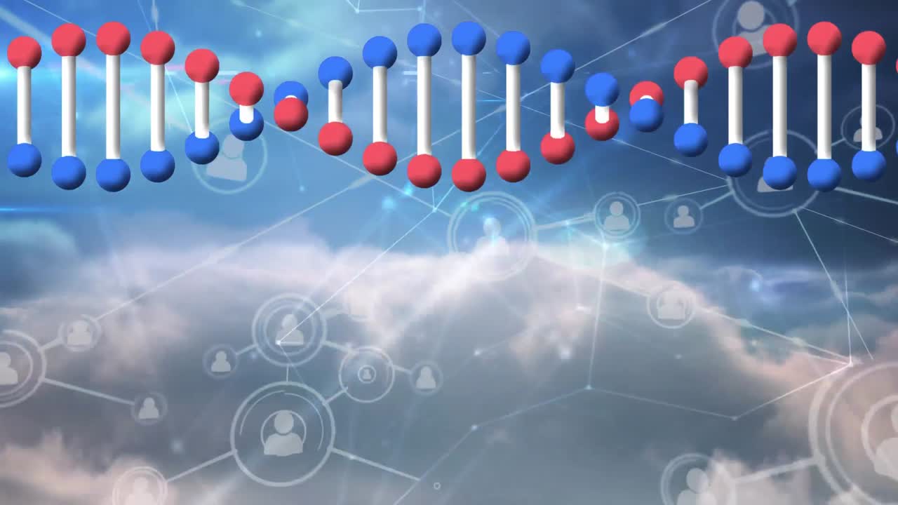 dna 가닥 회전과 연결 네트워크의 애니메이션