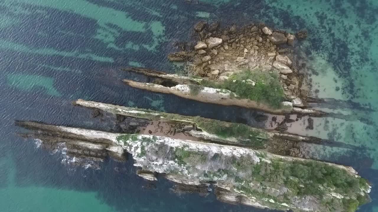 A bird's eye view of the zoological reserve Pedra da Anicha (in the beauty Arrabida Natural Park, Portugal), with many seagulls and sea geeses flying around