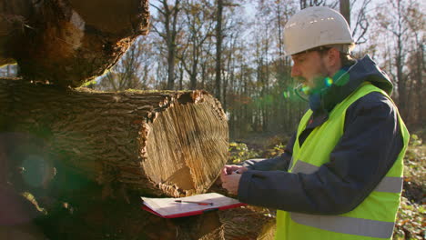 Male-woodcutter-taking-measurements-of-diameter-of-harvested-lumber-and-writing-them-down-to-his-clipboard,-handheld