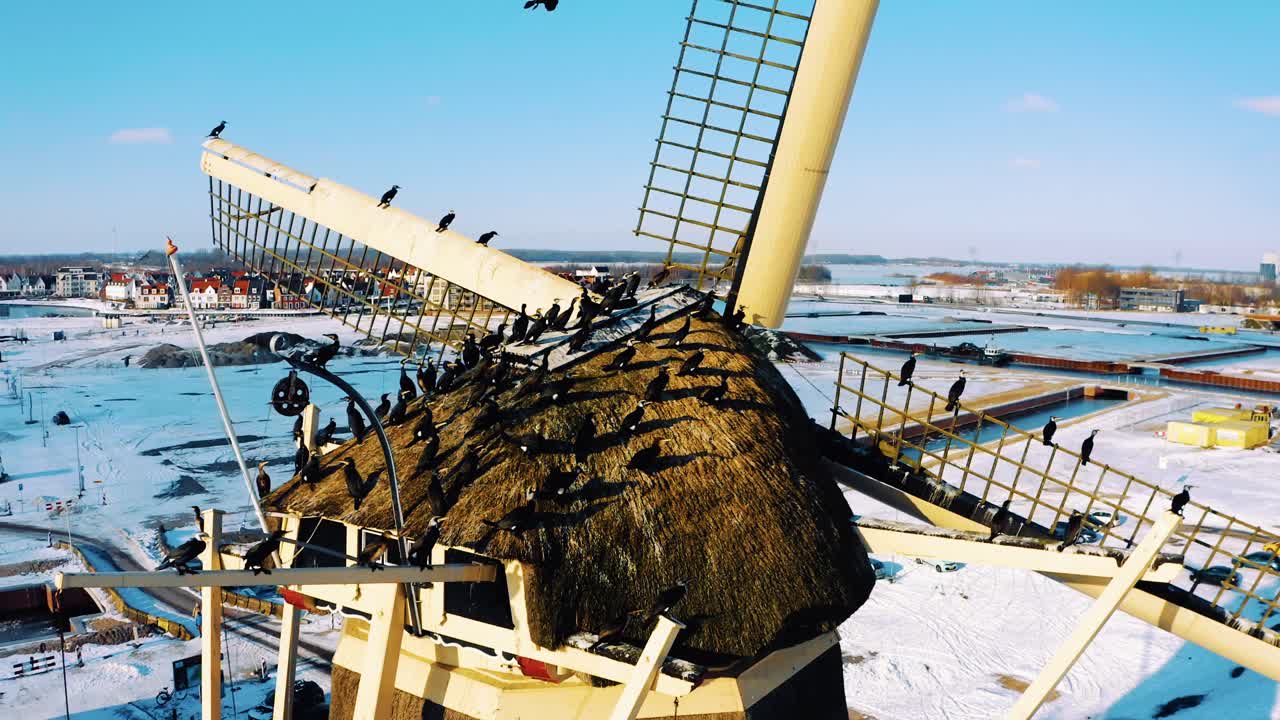 겨울에 풍차에 앉은 검은 새들