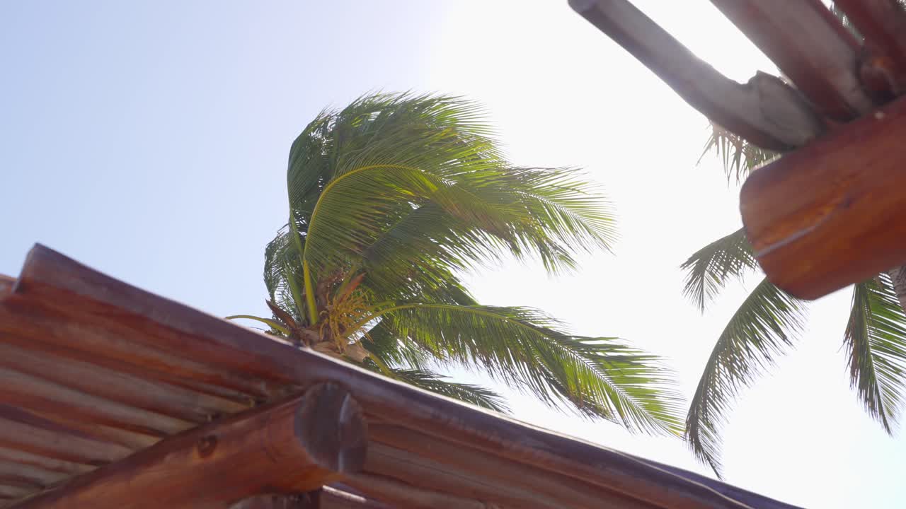 Sunlight Flare Shining Through Wooden Beach Canopy With Green Coconut Palm Tree Blowing In The Wind. Super Slow Motion Zoom Shot.