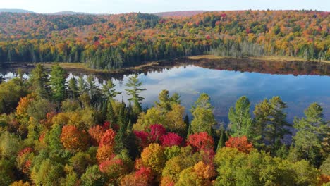 Leuchtend-Rote-Und-Orangefarbene-Herbstblätter-In-Der-Atemberaubenden-Luftaufnahme-Des-Herbstlichen-Farbwechsels