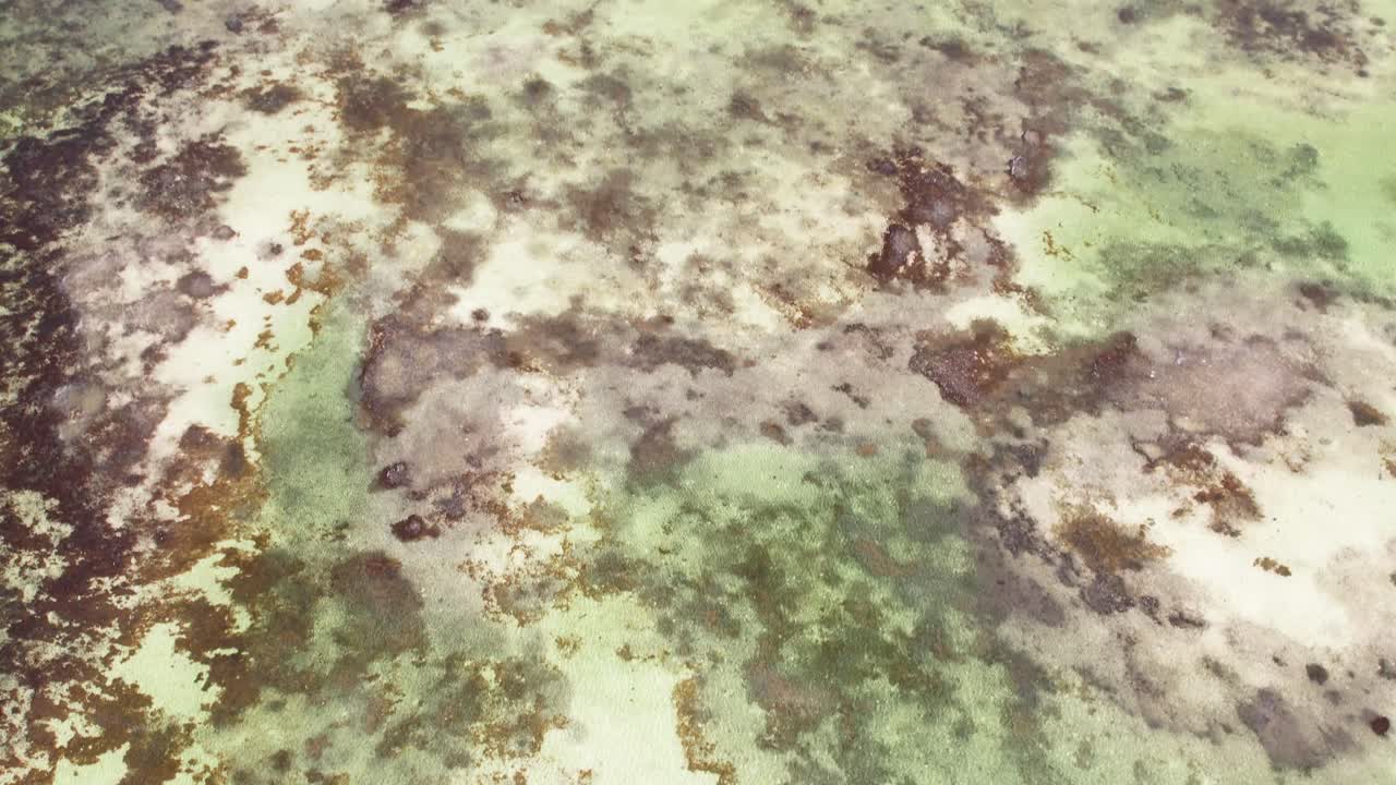 vista aérea inclinándose hacia arriba sobre el colorido arrecife barrera en la costa sur durante el día