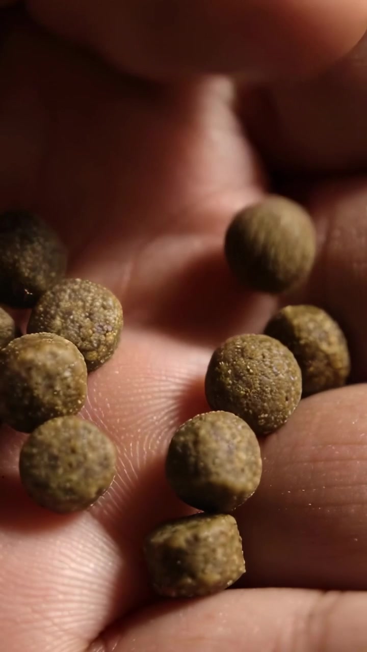 Video verticale: Una mano a coppa sposta delicatamente piccoli pellet marroni in una stanza in penombra con la punta del dito.