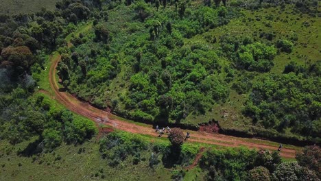 mount elgon hike adventure with group of people trekking in kenya, east africa. aerial drone shot