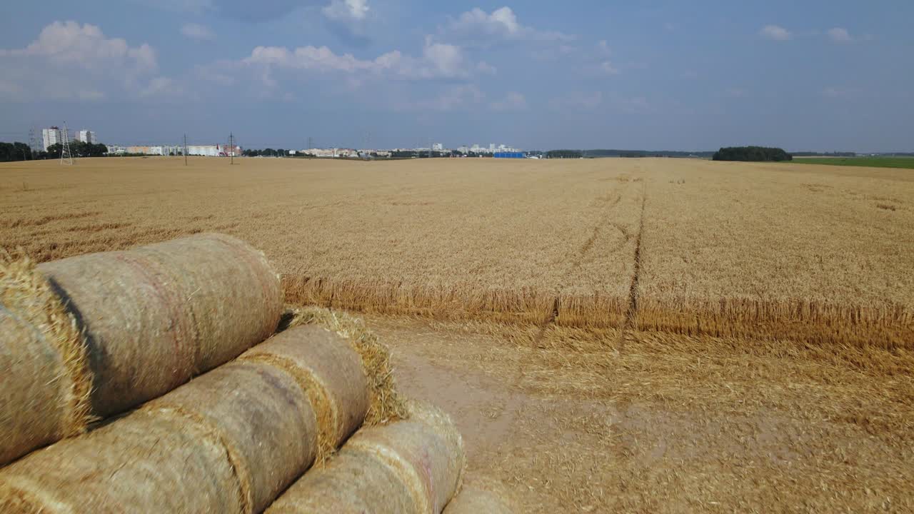 la paja se recoge en un rollo y se apila en una pirámide en pilas. campo de grano cosechado. fotografía aérea.