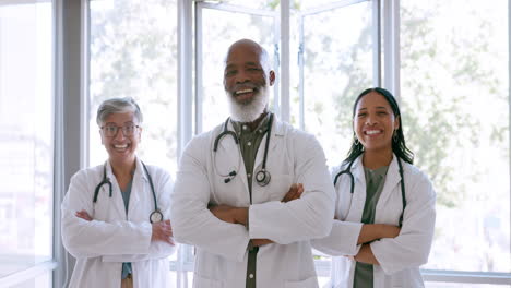 atención médica, colaboración y retrato con un equipo