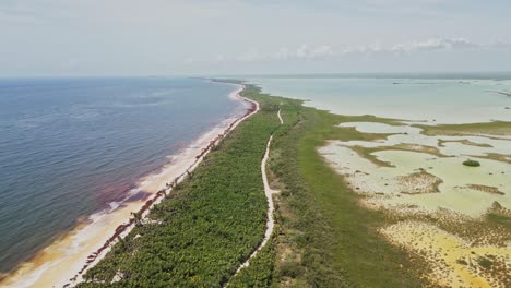 protected nature of sian kaʼan biosphere reserve on the yucatan peninsula in mexico. aerial drone shot