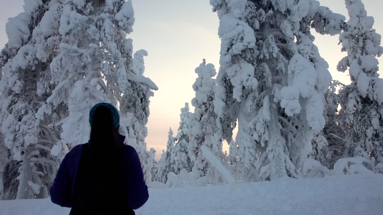 una niña admira el hermoso bosque cubierto de nieve en laplandia, finlandia, el círculo ártico