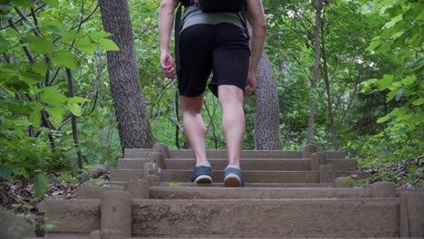 hiker walking up the wooden stairs in the forest in summer