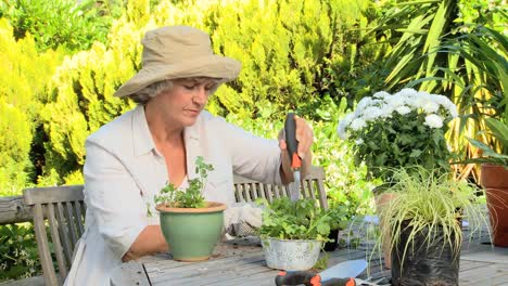 woman repotting plants in the garden