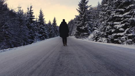 Chica-Caminando-Por-Un-Camino-Vacío-A-Través-Del-Bosque-Blanco-De-Rumania-En-Invierno