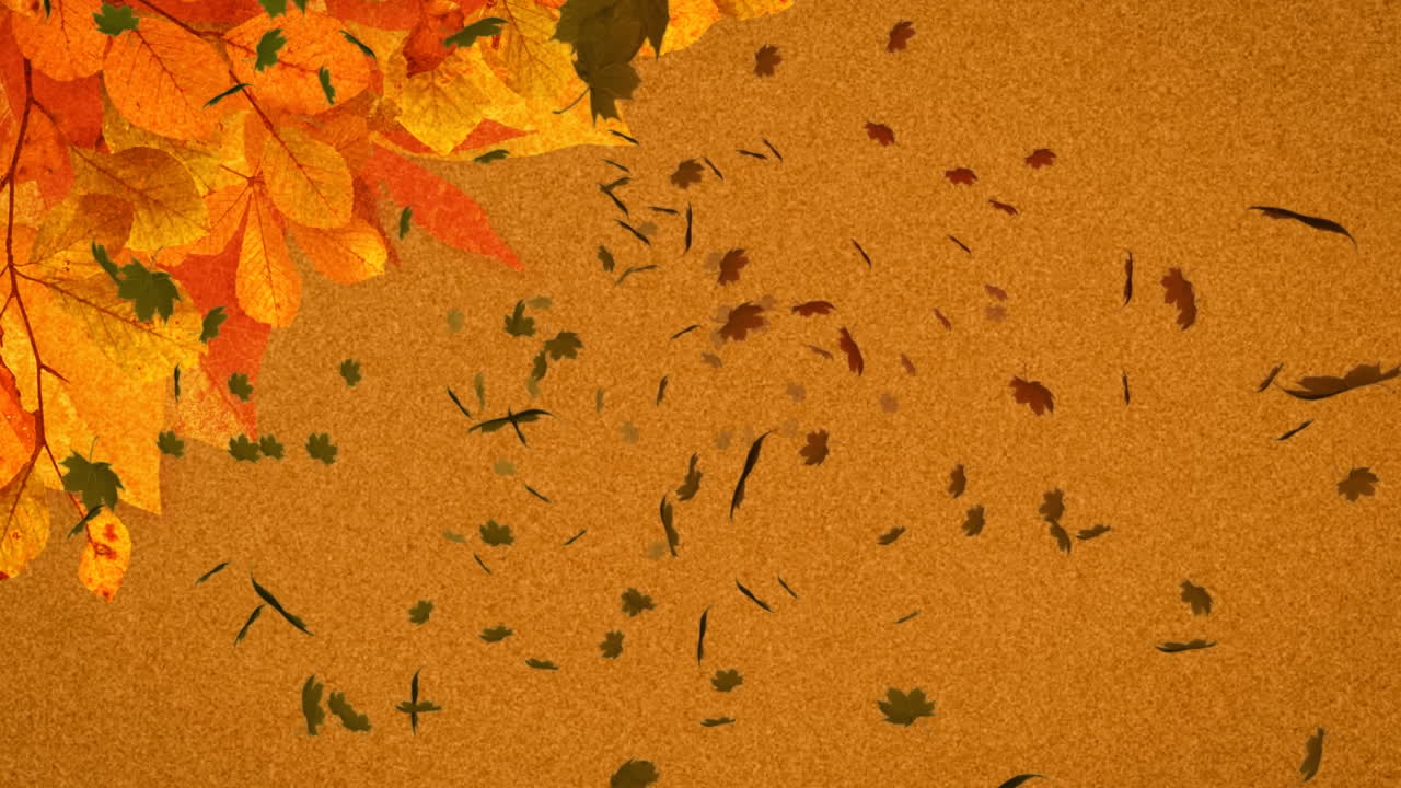 animación de varias hojas de otoño que caen sobre un fondo naranja