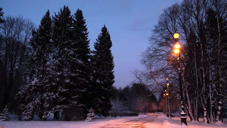 winter park at dusk