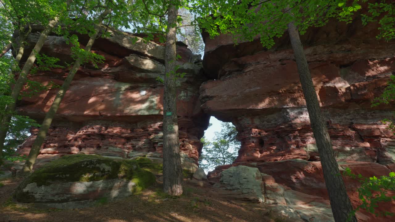torres de roca roja únicas en medio de un bosque sombreado, altschlossfelsen, alemania