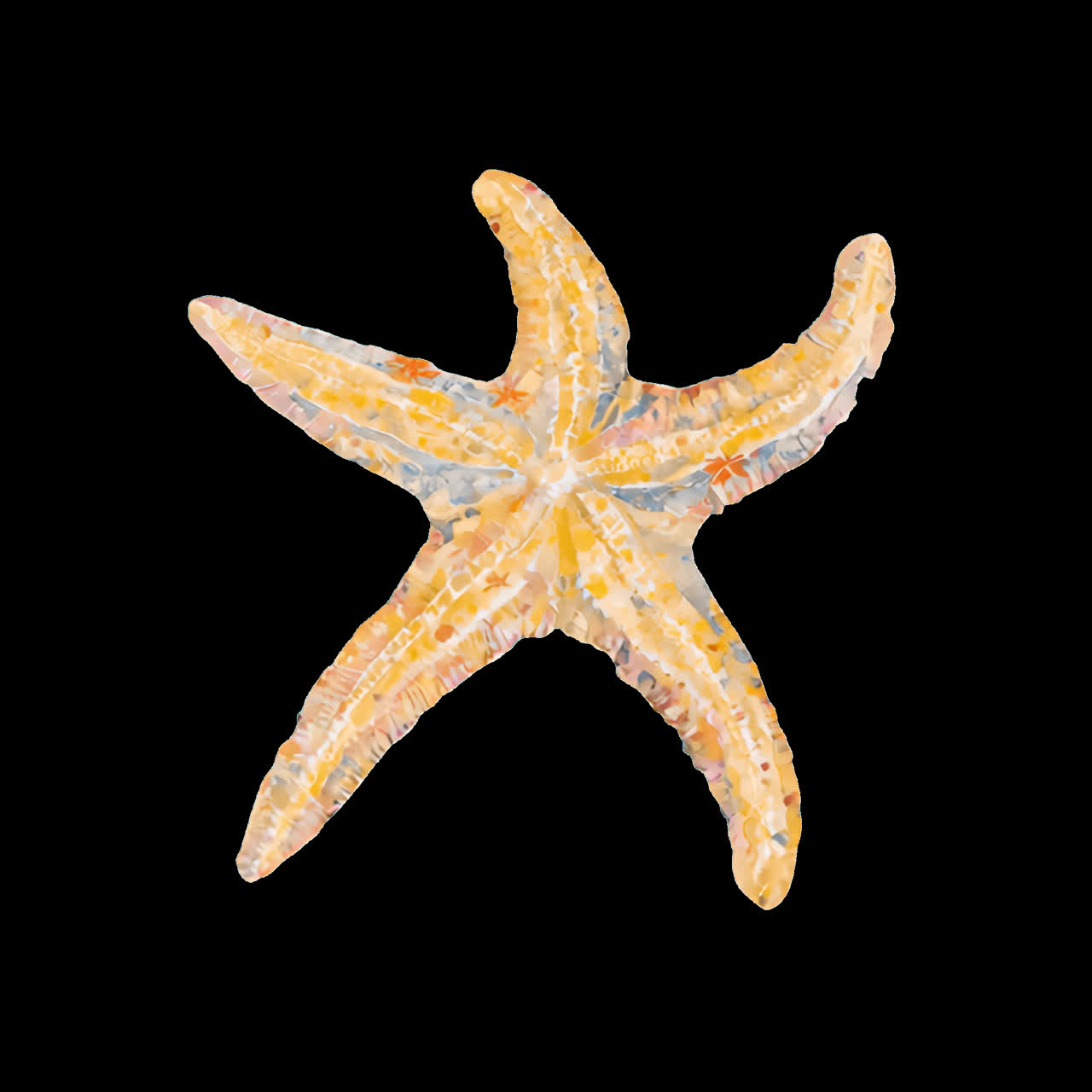 Vibrant starfish animation isolated asset, transparent 4K video, alpha channel, ProRes 4444