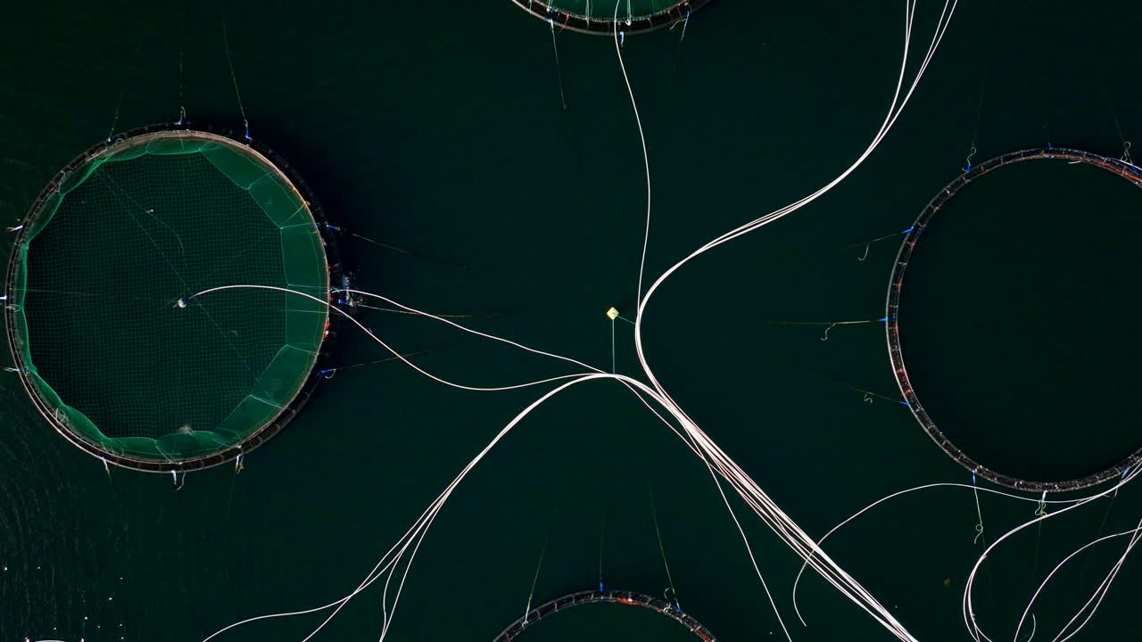 abstracto vista aérea desde un ascensor sobre tuberías y estanques marinos en una granja acuática de salmón, noruega