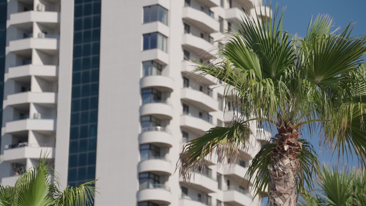 Palm tree, blue sky and white building during the day in Durres, Albania, medium shot