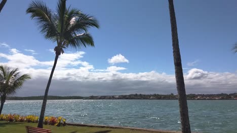 Palm-trees-against-ocean-and-blue-sky-background