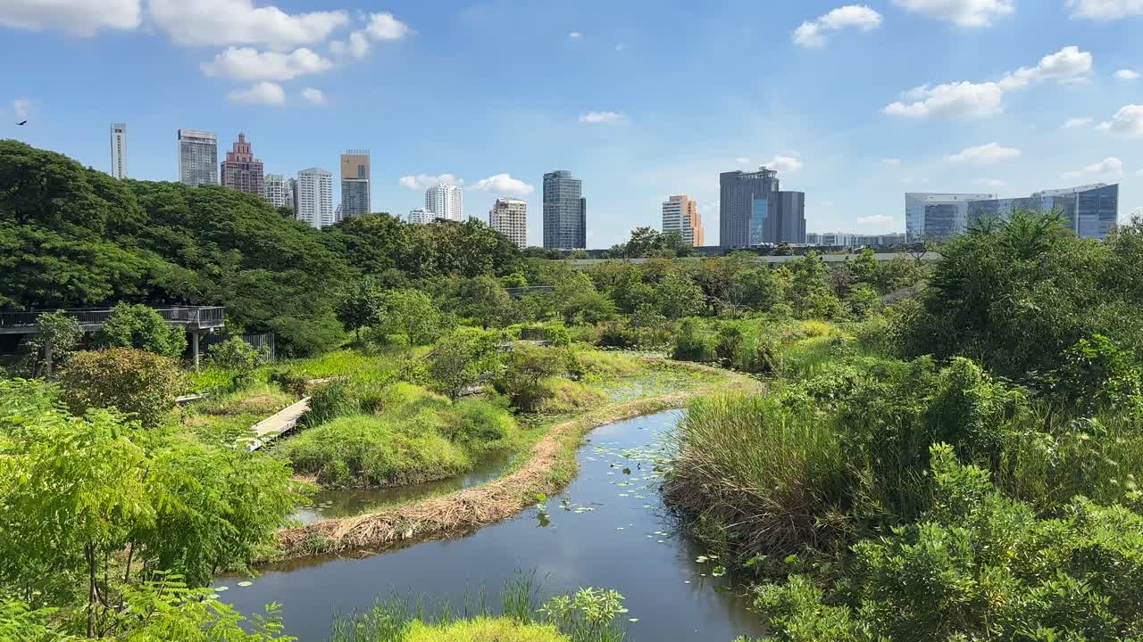 Bangkok Skyscrapers Skyline View from Benchakitti Park – City Buildings Behind Lake and Green Nature, Central Bangkok Thailand, Southeast Asia Urban Landscape Video