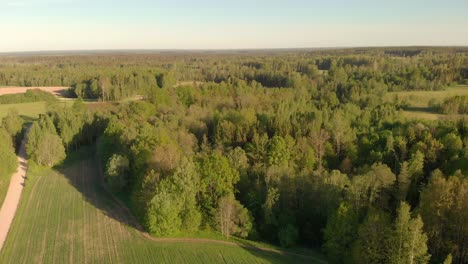 drone flyes forward over green field in spring, northern europe landscape