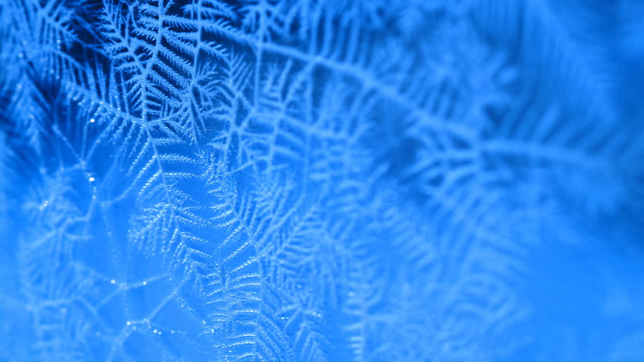 Intricati motivi di brina su sfondo blu