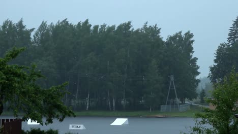 雨雲覆蓋樹木的時間