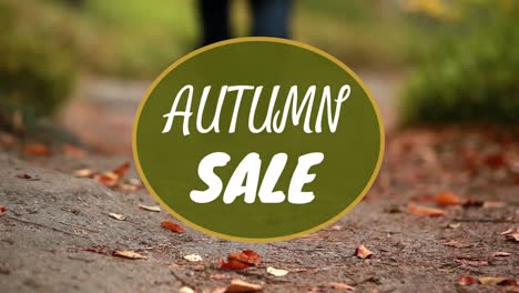 Digitally-generated-video-of-autumn-sale-4k