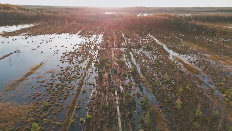 drone shot skillfully captures a wooden watchtower amidst an overgrown lake during morning hours of autumn