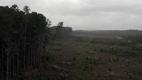 Antena:-Drone-Volando-Más-Allá-De-Un-Bosque-En-Un-Malhumorado-Día-De-Invierno-En-Tasmania,-Australia