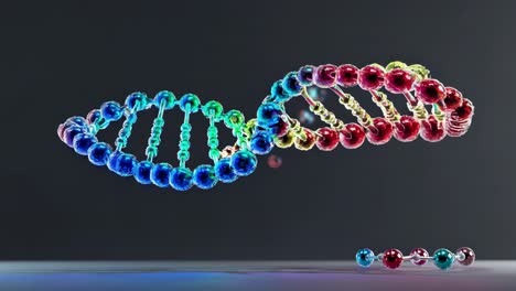 colorful 3d dna model